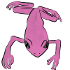 Pink Long Frog