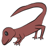 Brown Lizard