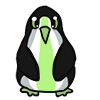 Agender Penguin