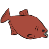 Red Piranha