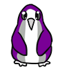 Gray Ace Penguin