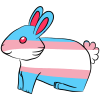 Trans Bunny